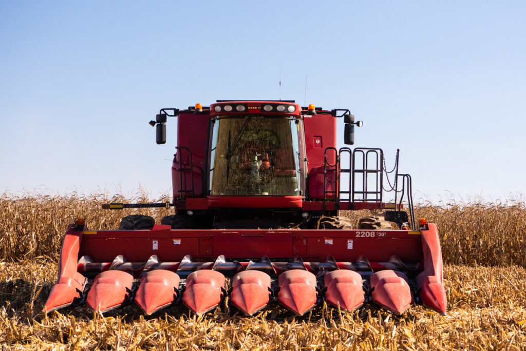 It’s Harvest Time!